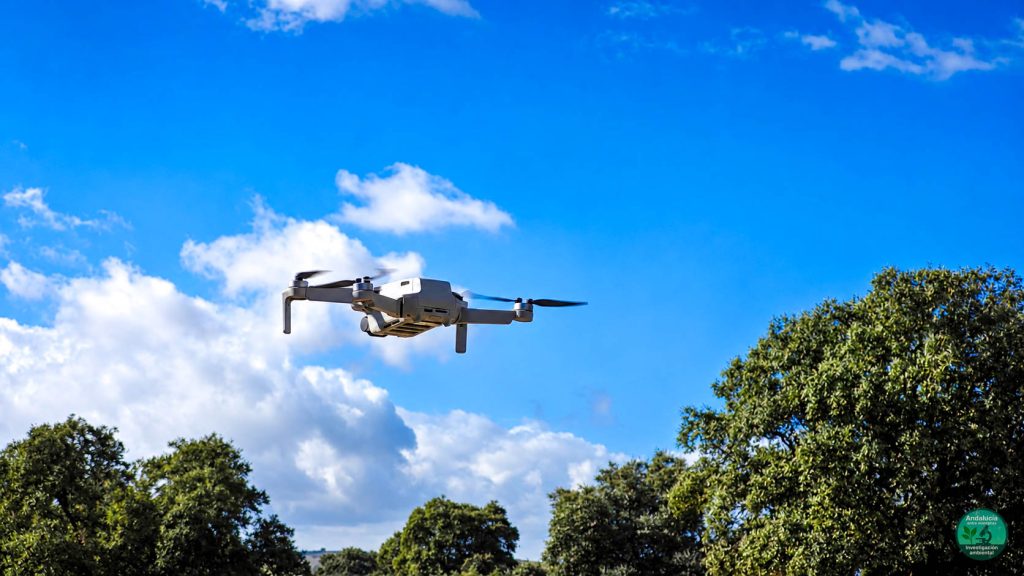 DRON